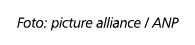 Foto: picture alliance / ANP