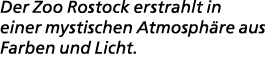 Der Zoo Rostock erstrahlt in einer mystischen Atmosph re aus Farben und Licht.