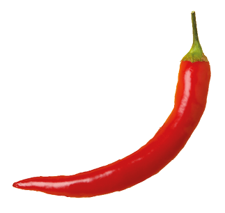 Tasty chilli pepper and powder spice on yellow background
