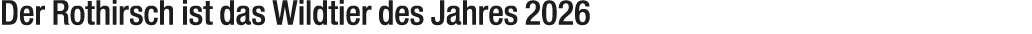 Der Rothirsch ist das Wildtier des Jahres 2026