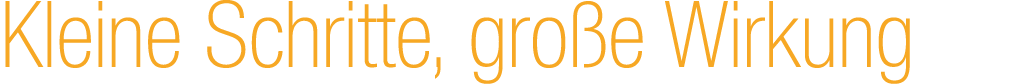 Kleine Schritte, gro e Wirkung