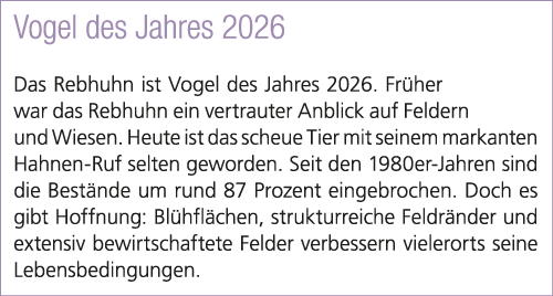 Vogel des Jahres 2026 Das Rebhuhn ist Vogel des Jahres 2026. Fr her war das Rebhuhn ein vertrauter Anblick auf Felder...
