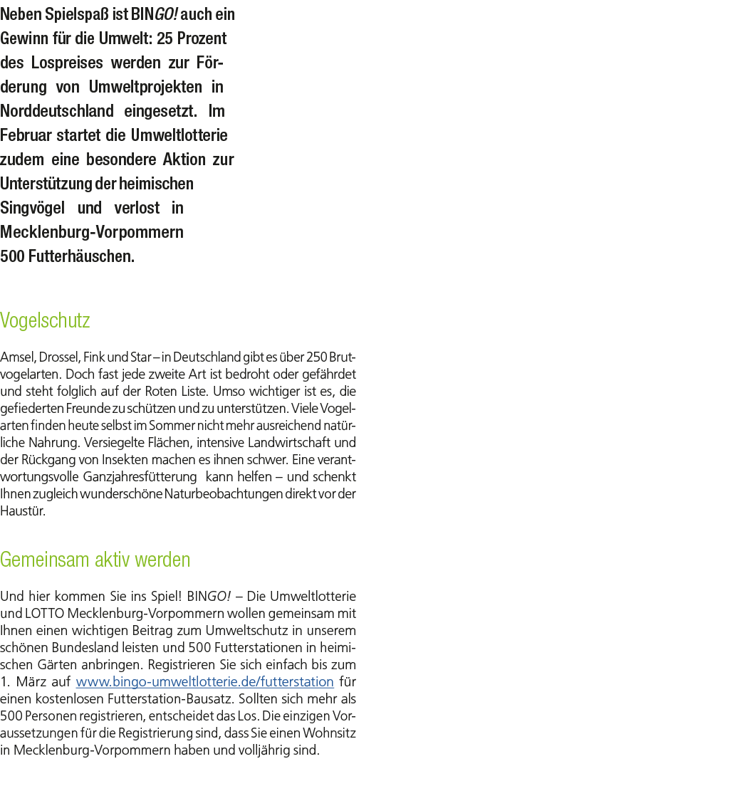 Neben Spielspa ist BINGO! auch ein Gewinn f r die Umwelt: 25 Prozent des Lospreises werden zur F rderung von Umweltp...