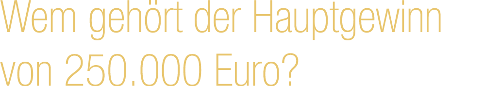 Wem geh rt der Hauptgewinn von 250.000 Euro?