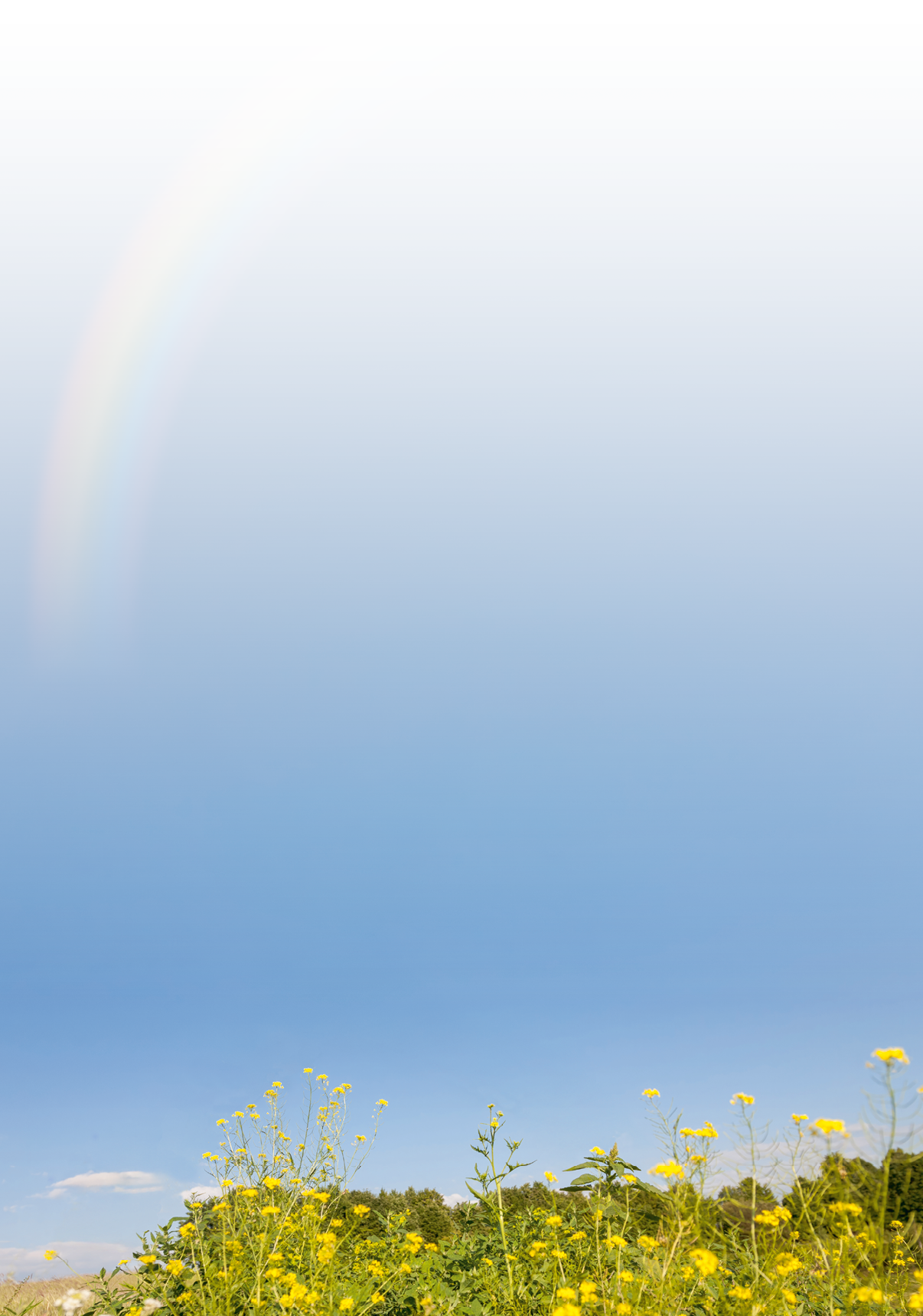 Happy smiling young man jumping on the beach. Freedom concept. Enjoyment.