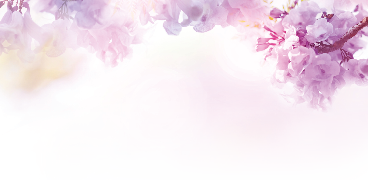 Abstract floral backdrop of purple flowers over pastel colors with soft style for spring or summer time. Banner background with copy space.