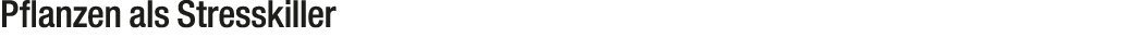 Pflanzen als Stresskiller 