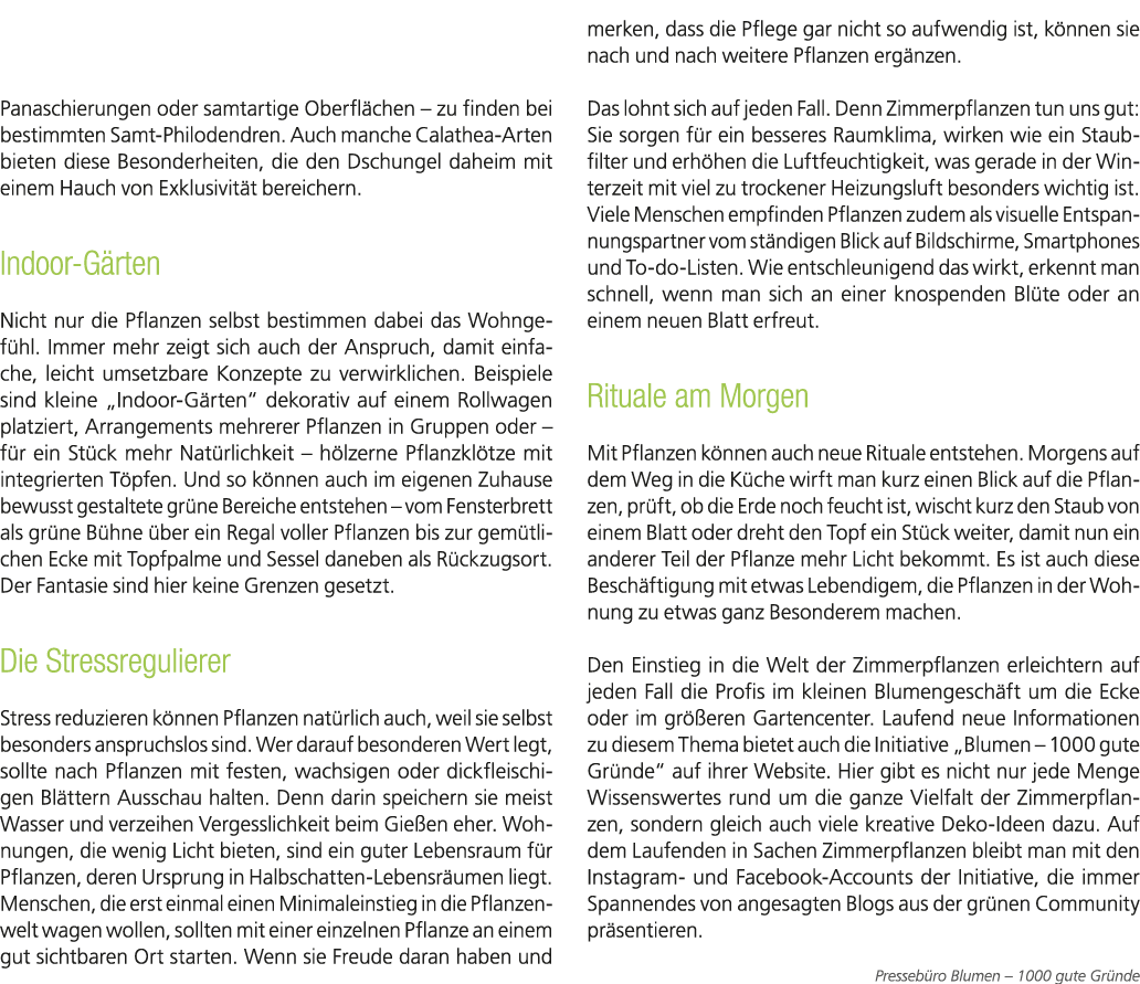 Panaschierungen oder samtartige Oberfl chen – zu finden bei bestimmten Samt Philodendren. Auch manche Calathea Arten ...