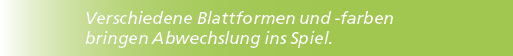 Verschiedene Blattformen und farben bringen Abwechslung ins Spiel.