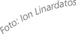 Polygon