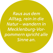 Raus aus dem Alltag, rein in die Natur – wandern in Mecklenburg Vorpommern spricht alle Sinne an.