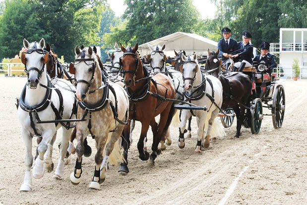 Sechs Pferde ziehen eine Kutsche mit drei Personen in einem hellen, offenen Reitplatz. Beschreibung von KI generiert