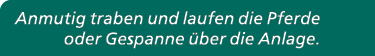 Anmutig traben und laufen die Pferde oder Gespanne ber die Anlage.