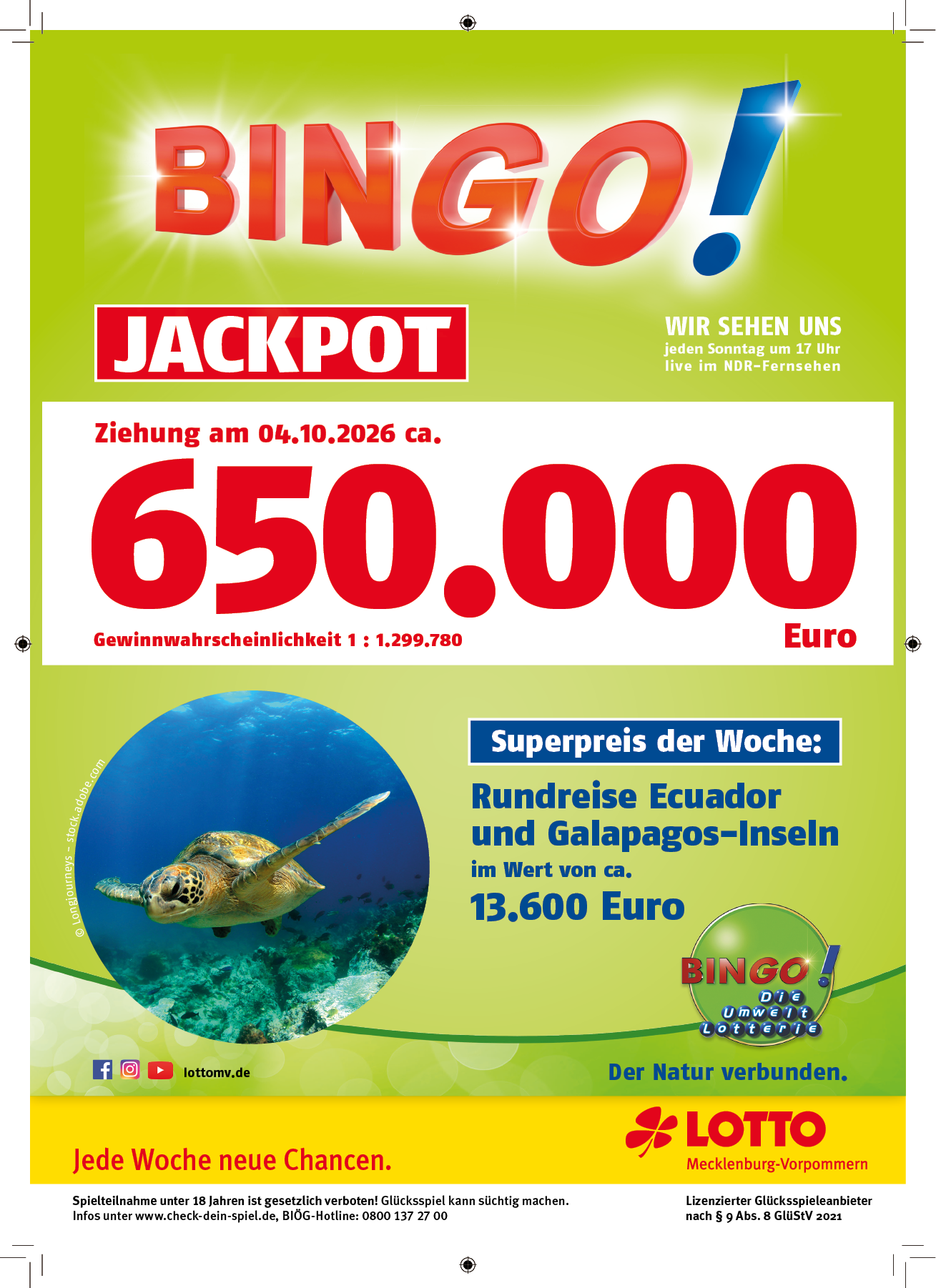 Bunte Werbeanzeige f r Bingo Jackpot mit gro em Gewinnbetrag, einem Bild einer Meeresschildkr te und einem Sonderpreis f r eine Rundreise zu den Galapagos-Inseln. Beschreibung von KI generiert